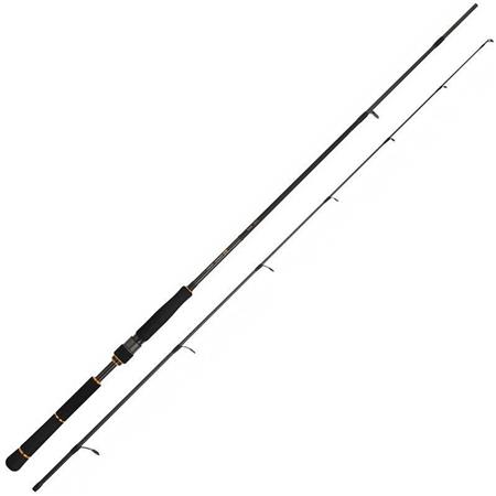 Vara Daiwa Black Gold Seabass