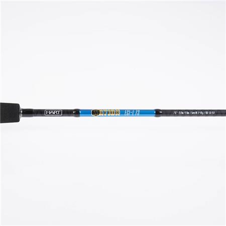 VARA EGING HART NATION EGI