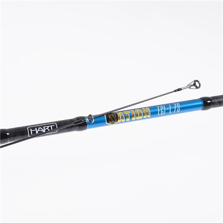 VARA EGING HART NATION EGI