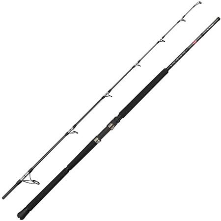 Vara Penn Ally Ii Offshore Casting Rod