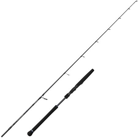 Vara Spinning Savage Gear Defiance Sg2 Light Jigging