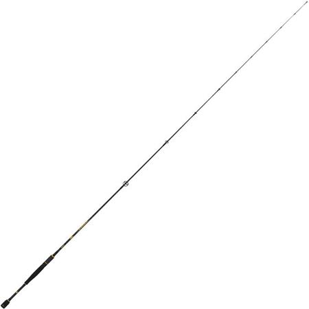 Vara Spinning Tubertini Sw Seabass Sb