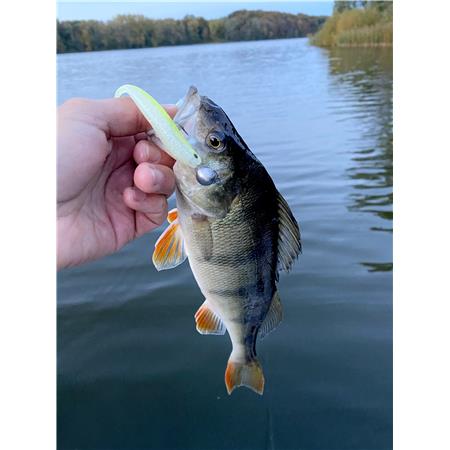 VINILO STUCKI FISHING PREY ONE - 5.5CM - PAQUETE DE 10