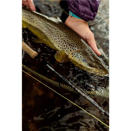 VLIEGHENGEL SAGE R8 CLASSIC