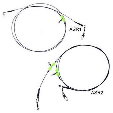 Vorfächer Asari Rigides