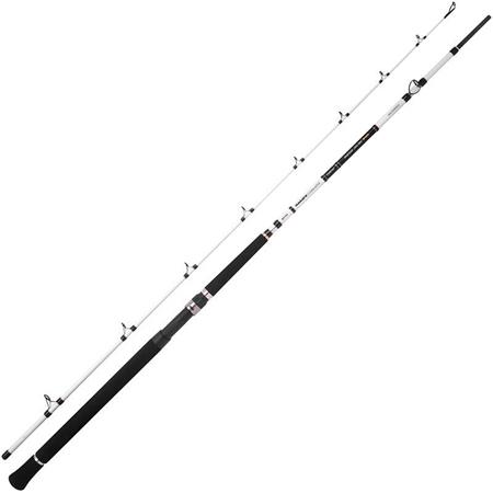 Wędka Castingowa Spro Salty Beast Nano - Jig