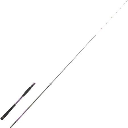 Wędka Spinningowa Hearty Rise Shiga Tenya Spinning