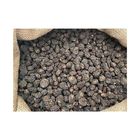 ZAAD POSEIDON PARTICLES BLACK TIGERNUTS XXL