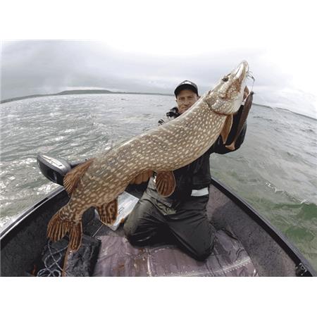 ZACHT KUNSTAAS HOSTAGEVALLEY SHAD - 18CM