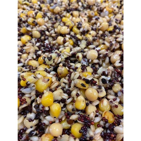 ZUBEREITETE KÖRNER POSEIDON PARTICLES MAÏS / POIS / SARRASIN / BLÉ / COLZA